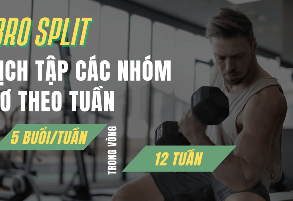 chương trình tập thể hình bro split