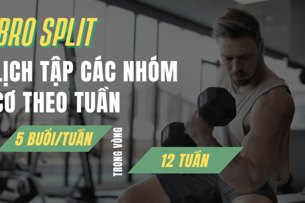 chương trình tập thể hình bro split