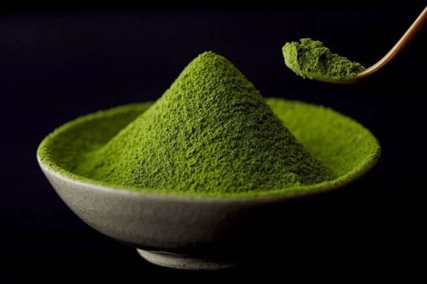 uống matcha mỗi ngày