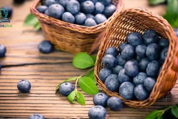 Top 5 trái cây tốt cho mắt của trẻ em ba mẹ nên biết
