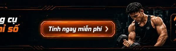 sẵn sàng tham gia chạy marathon