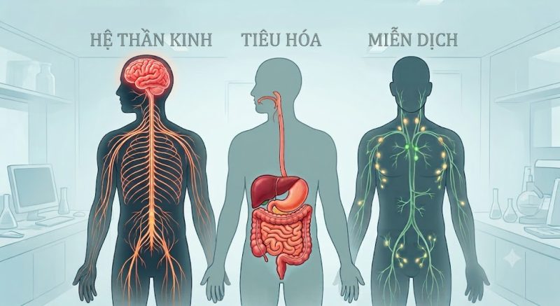 Ảnh hưởng của ô nhiễm thủy ngân đối với sức khỏe con người và cách phòng ngừa