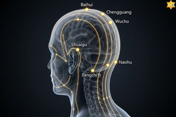 các huyệt trên đầu