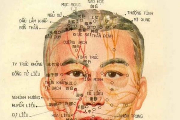 các huyệt thường dùng