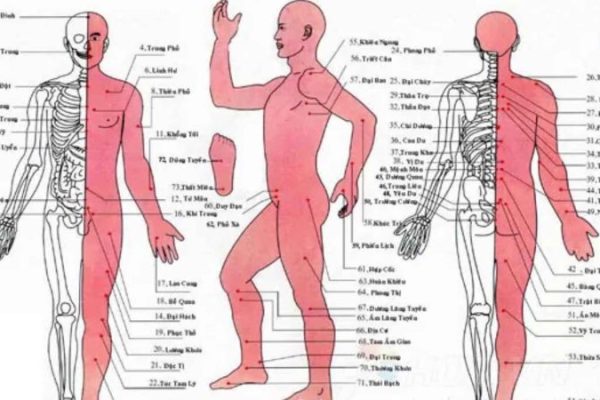 huyệt đạo trên cơ thể