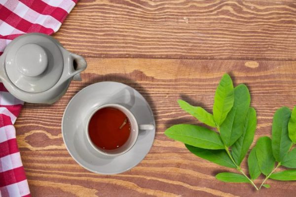 uống nước lá ổi bao lâu thì giảm cân