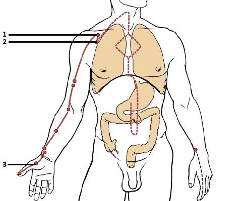 đường kinh lạc