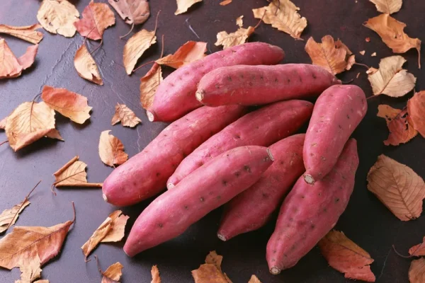 Trong 100g khoai lang bao nhiêu calo?
