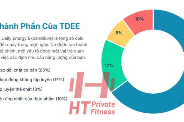 công cụ tính tdee
