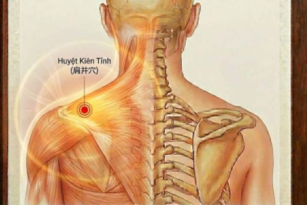 huyệt trên vai gáy