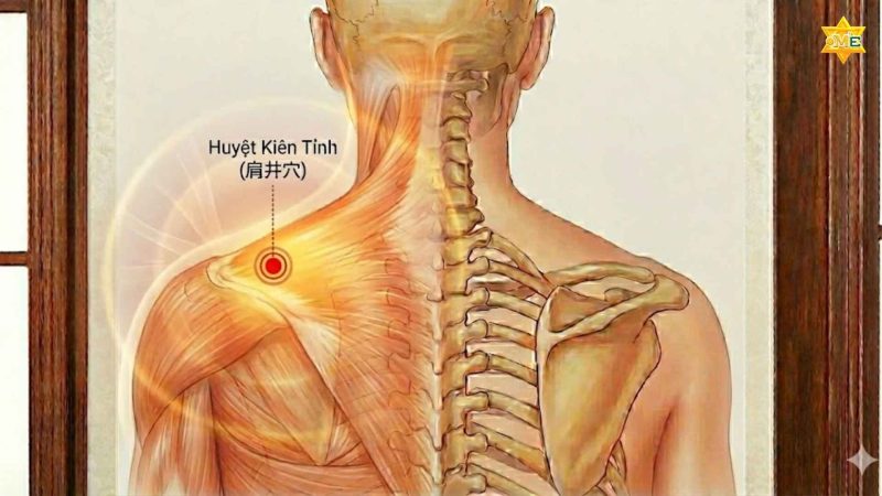 huyệt trên vai gáy