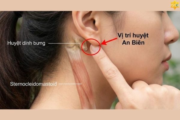 huyệt ẩn biên