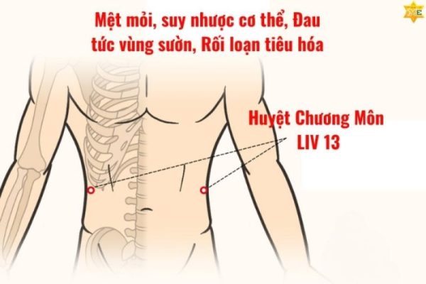 huyệt chương môn