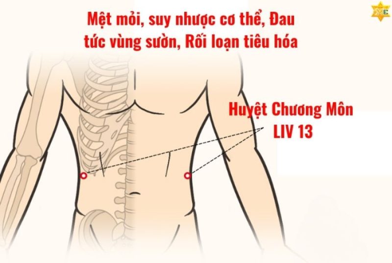 huyệt chương môn