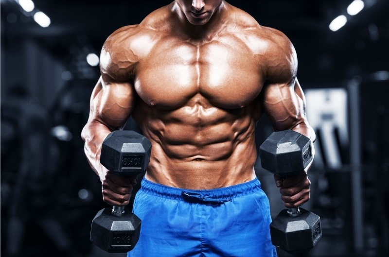 Hướng dẫn phân biệt các loại tạ tay tạ bình, tạ đa năng