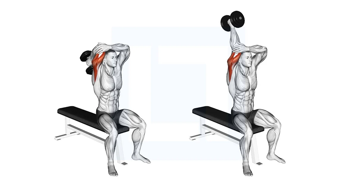 Overhead Triceps Extension