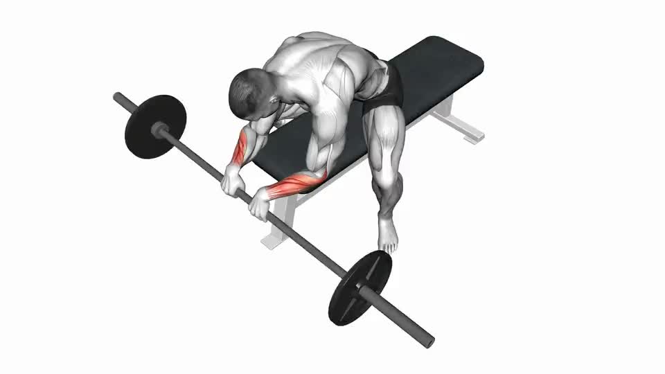 Reverse Wrist Curl