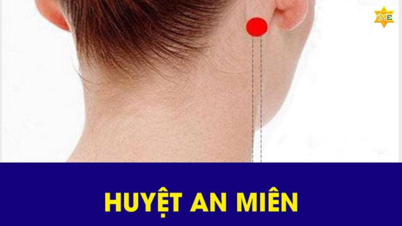 huyệt ẩn miên