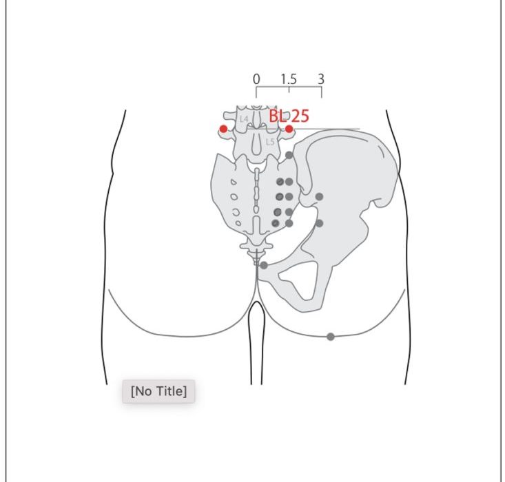 huyệt đại trường du