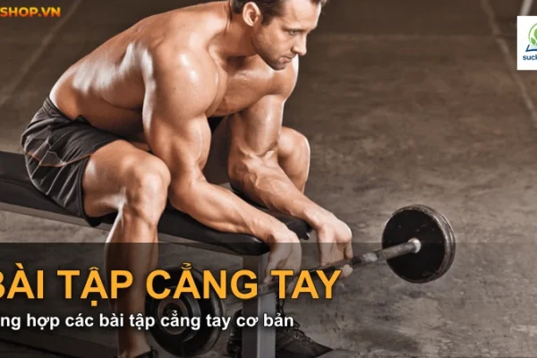Tổng hợp các bài tập cẳng tay cơ bản