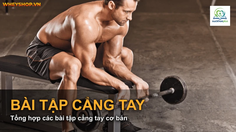 Tổng hợp các bài tập cẳng tay cơ bản