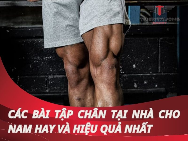 Tổng hợp các bài tập chân đùi từ cơ bản tới nâng cao