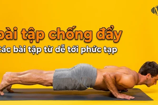 Các bài tập chống đẩy từ dễ tới phức tạp