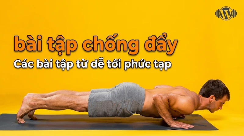 Các bài tập chống đẩy từ dễ tới phức tạp