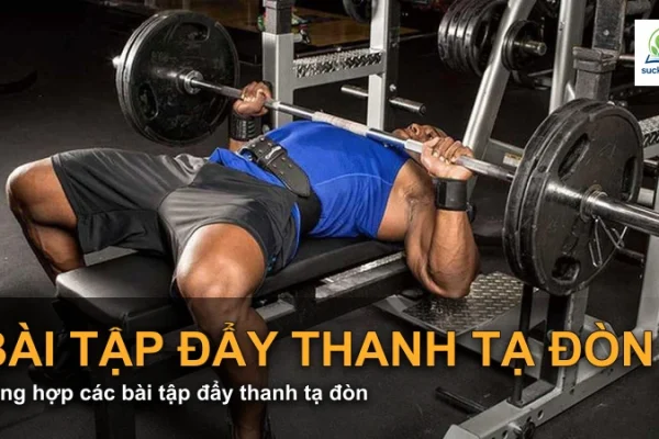Tổng hợp các bài tập đẩy thanh tạ đòn