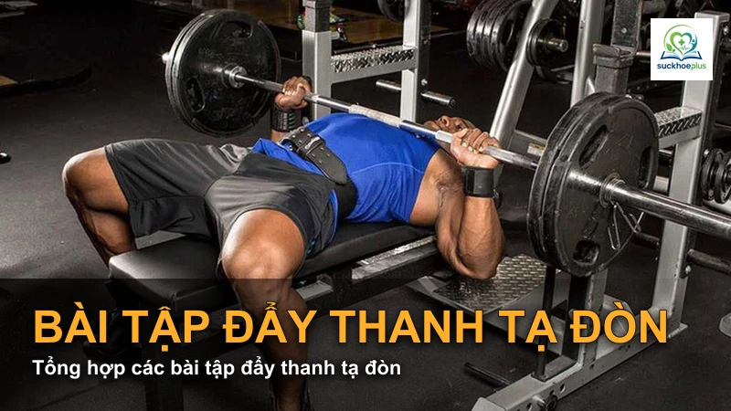 Tổng hợp các bài tập đẩy thanh tạ đòn