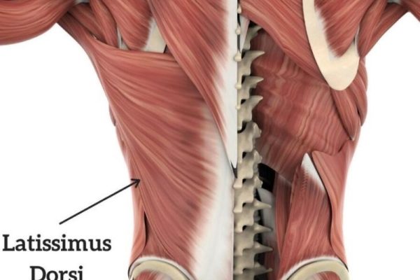 Tổng hợp các bài tập xô đúng cách và hiệu quả