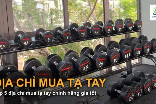 Top 5 địa chỉ mua tạ tay chính hãng giá tốt
