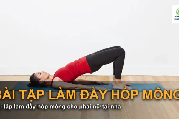 Bài tập làm đầy hóp mông cho phái nữ tại nhà