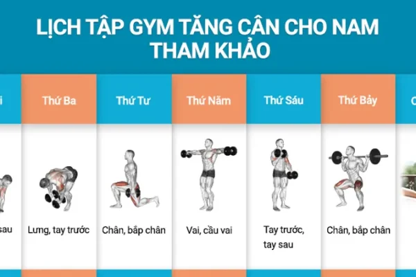 Lịch tập gym tăng cân cho người gầy