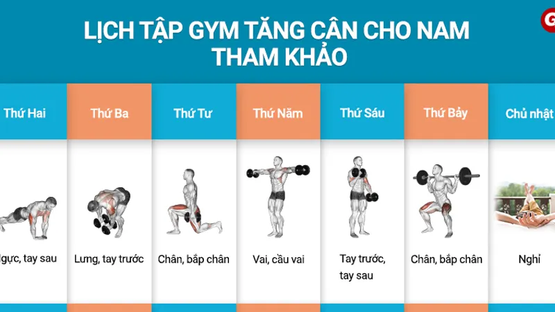 Lịch tập gym tăng cân cho người gầy 3 Lịch tập gym tăng cân cho người gầy